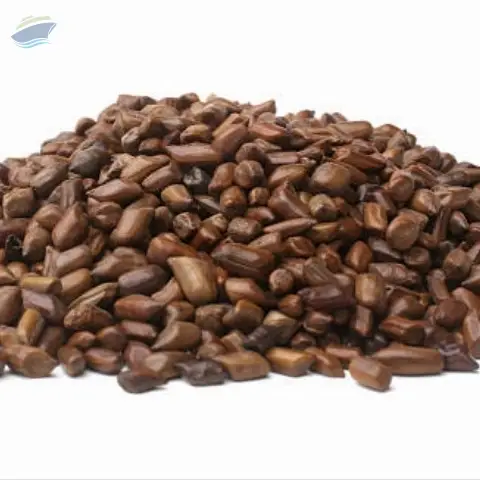 Cassia Tura Seeds