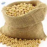 Soybeans