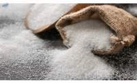 High-Quality Sugar