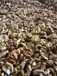 Walnut Kernals