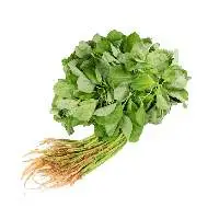Green Spinach