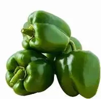 Capsicum Green