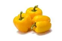 Capsicum Yellow