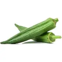 Lady Finger