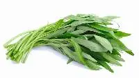 Water Spinach