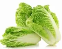 Long Cabbage