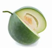 Winter Melon