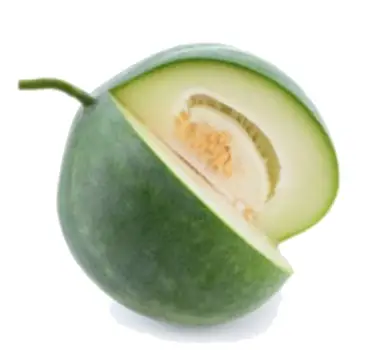 Winter Melon