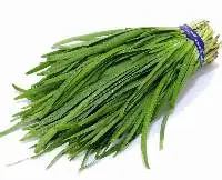 Chives Leaves