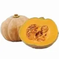 Pumpkin
