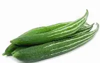 Snake Gourd