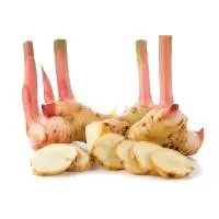Galangal Root