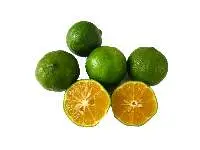 Calamansi