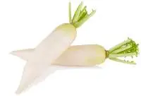 White Radish