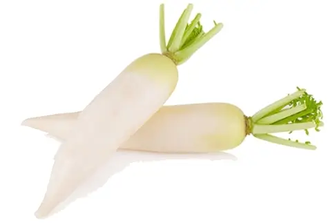 White Radish