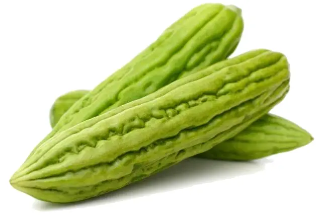 Bitter Gourd