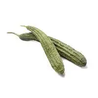 Luffa Gourd