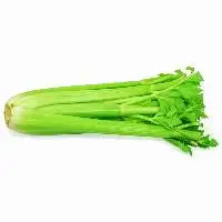 Celery