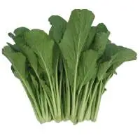 Choy Sum