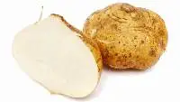 Turnip