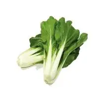 Pak Choy