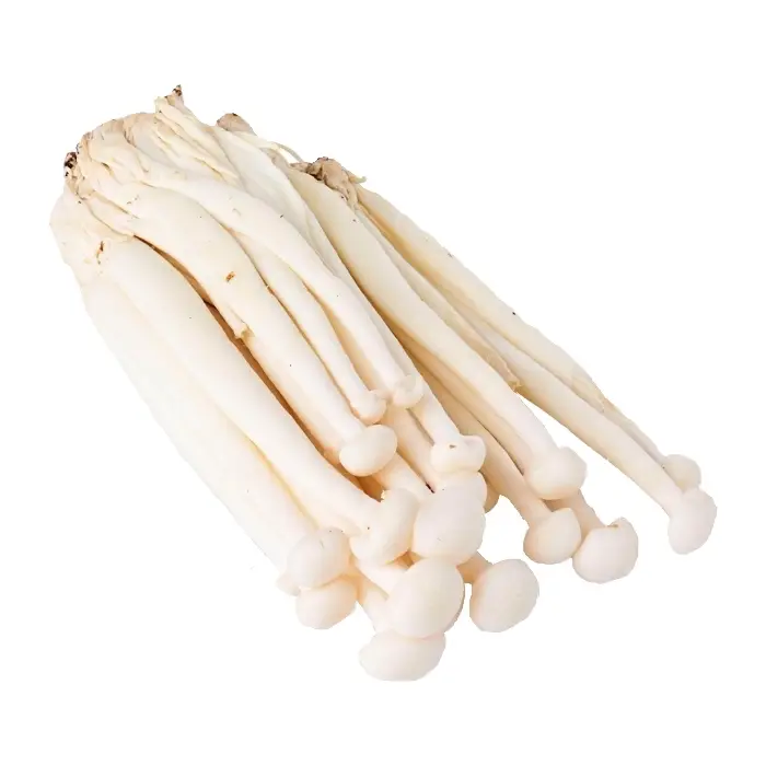 Snow White Mushroom