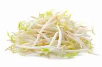 Bean Sprouts