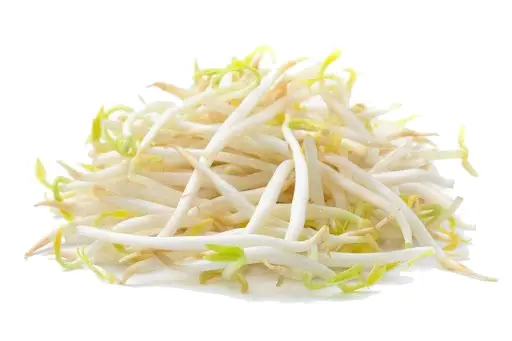 Bean Sprouts