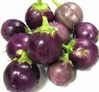 Round Brinjal