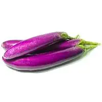 Long Eggplant