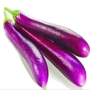 Long Brinjal