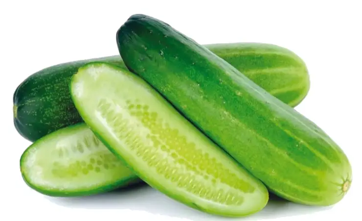 Cucumber