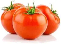 Tomato