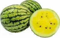 Yellow Watermelon