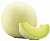 Honeydew
