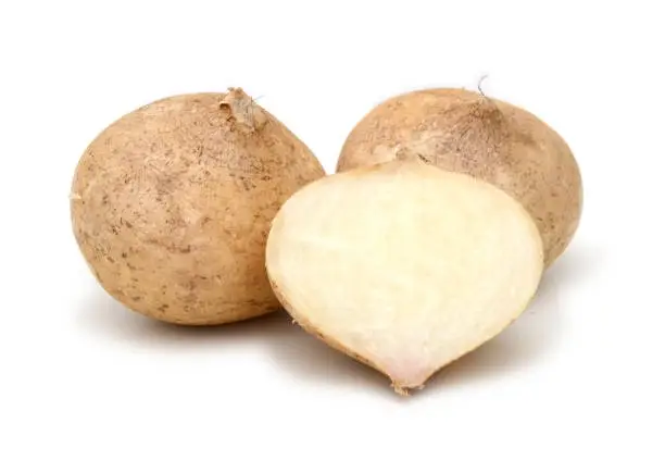 Yam Bean