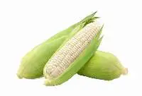 White Corn