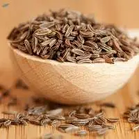 Cumin Seed