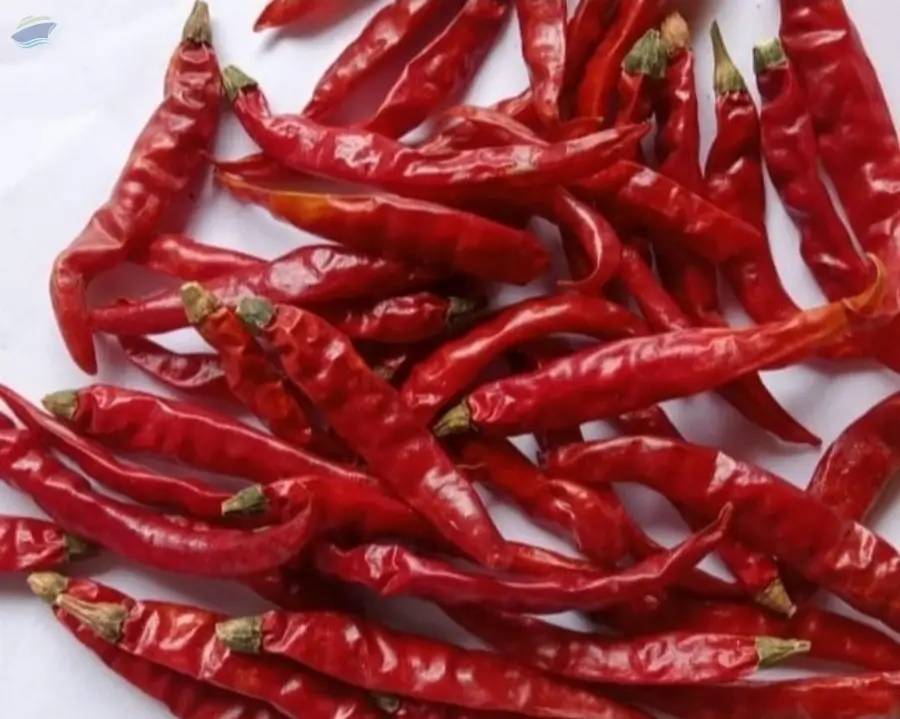 Dry Red Chili