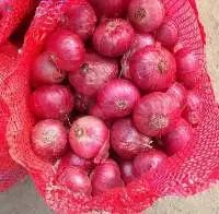 Onion