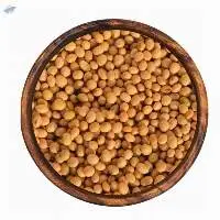 Soybeans