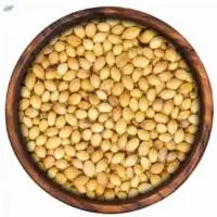Coriander Seeds