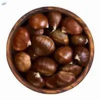 Chestnut