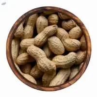 Groundnut