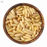 Pine Nut