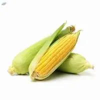 Corn
