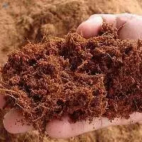 Cocopeat