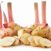 Galangal