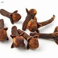 Clove