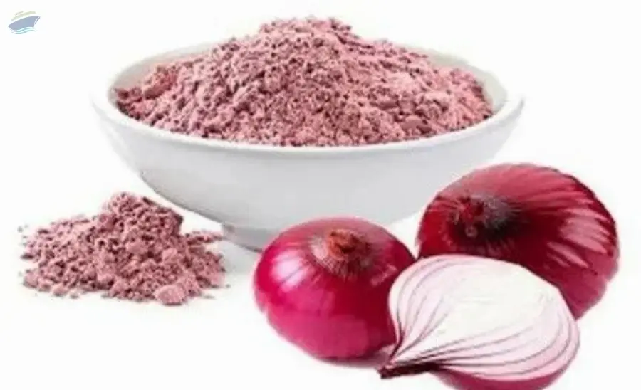 Dehydrated Red Onion Powder